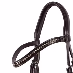 Aachenträns, ponny-full, HS Judit