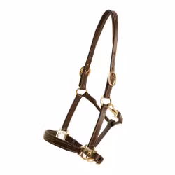 Lädergrimma, ponny-xfull, Lippo Fancy