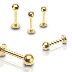 Guldpläterad labret