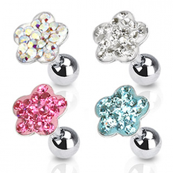 Tragus blomma