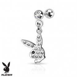 Tragus med playboy