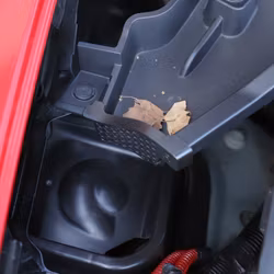 Avrinningsskydd i frunken - Tesla Model Y