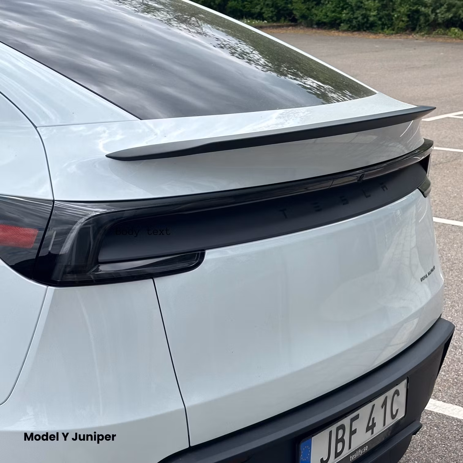 Performance Spoiler - Tesla Model Y Legacy/Juniper LR AWD