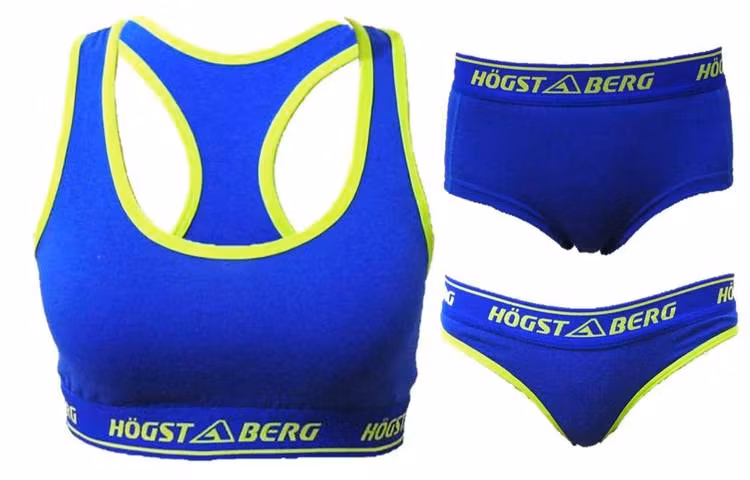 Underklädesset Bustier+Trosor+Tanga