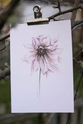 Poster Dahlia