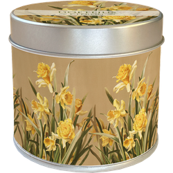 Doftljus citron
