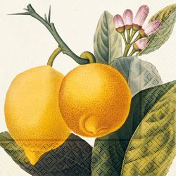 Servetter citron