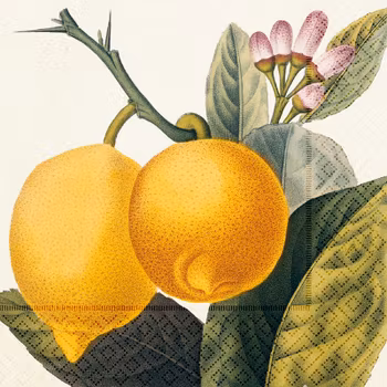Servetter citron