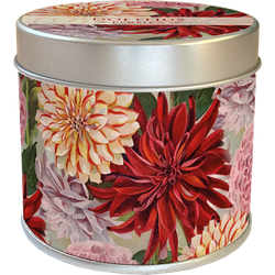 Doftljus dahlia