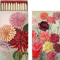 Tändstickor dahlia