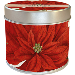 Doftljus juläpple