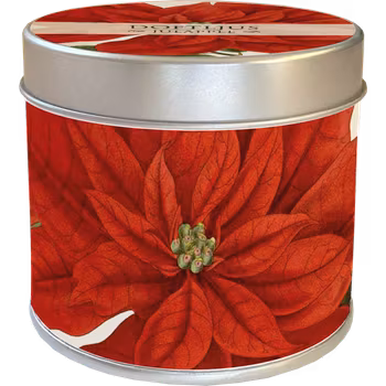 Doftljus juläpple