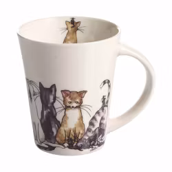 Mugg katter