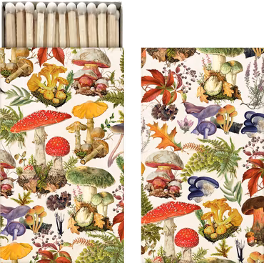 Tändstickor svampar