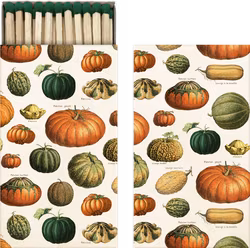 Tändstickor pumpor