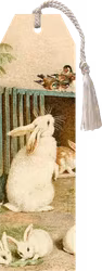 Bokmärke kaniner