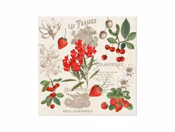 Lunchservetter summer fruits