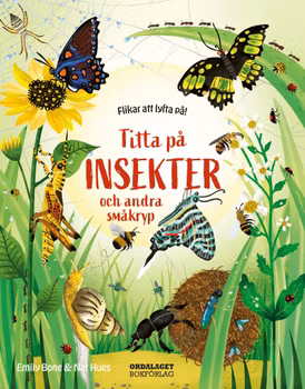 Titta på insekter