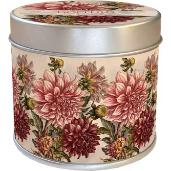 Doftljus dahlia