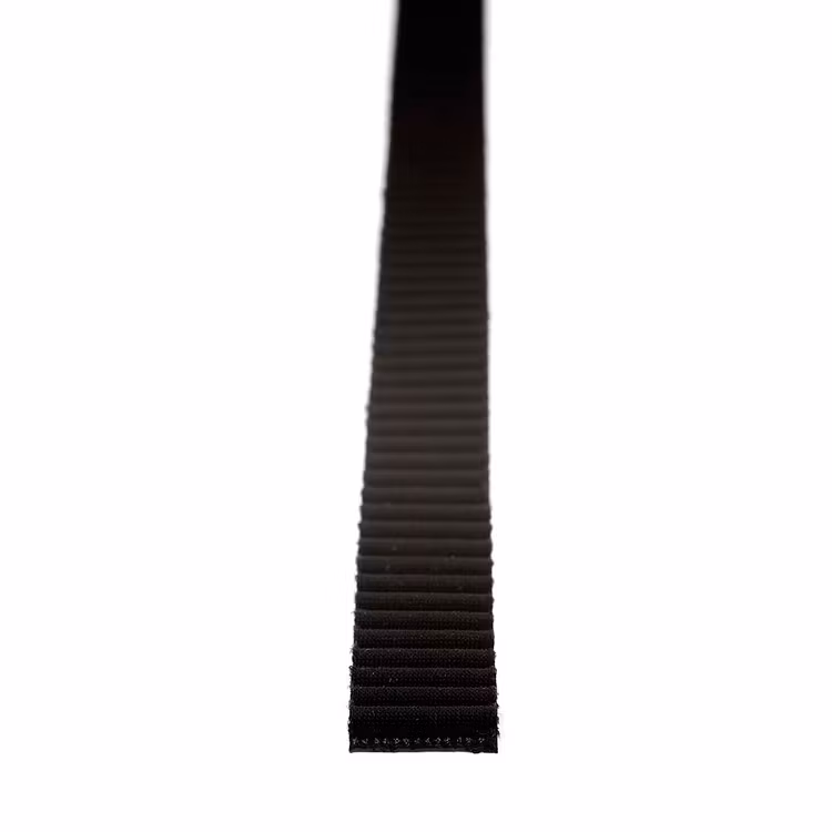 Tooth belt - EMSL