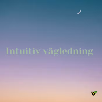 Intuitiv vägledning