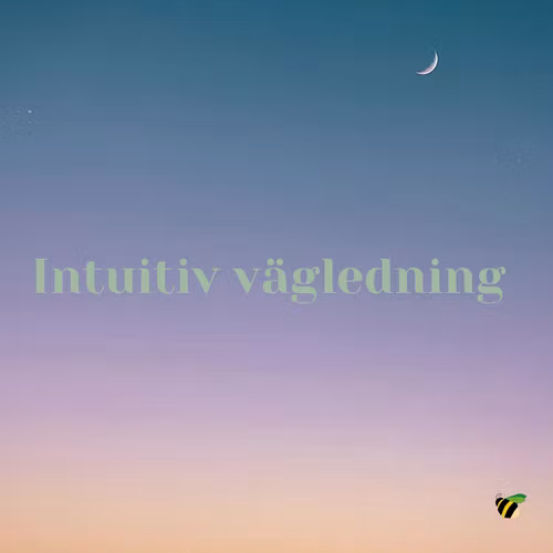 Intuitiv vägledning