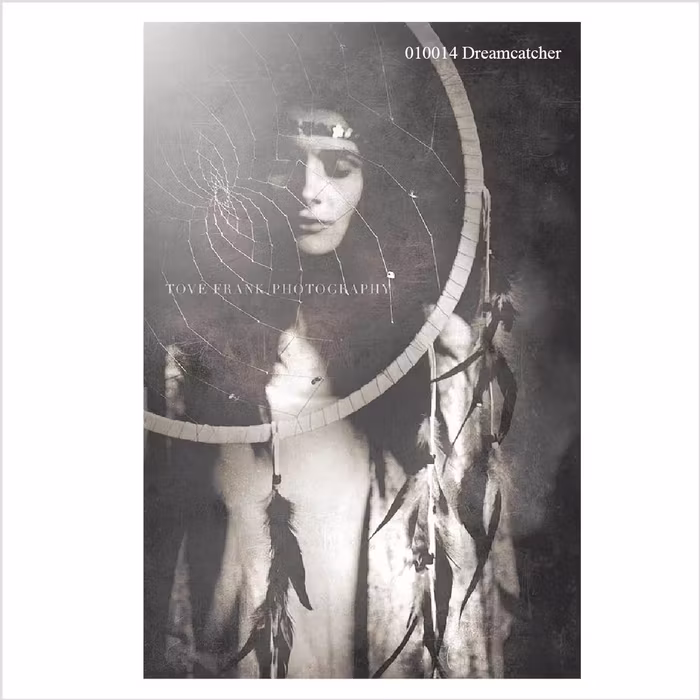 Poster Tove Frank - Dreamcatcher