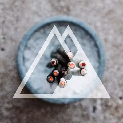 Rökelse Himalayan Musk 10st - Sacred Elephant