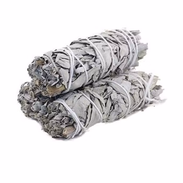 Salviabunt White sage
