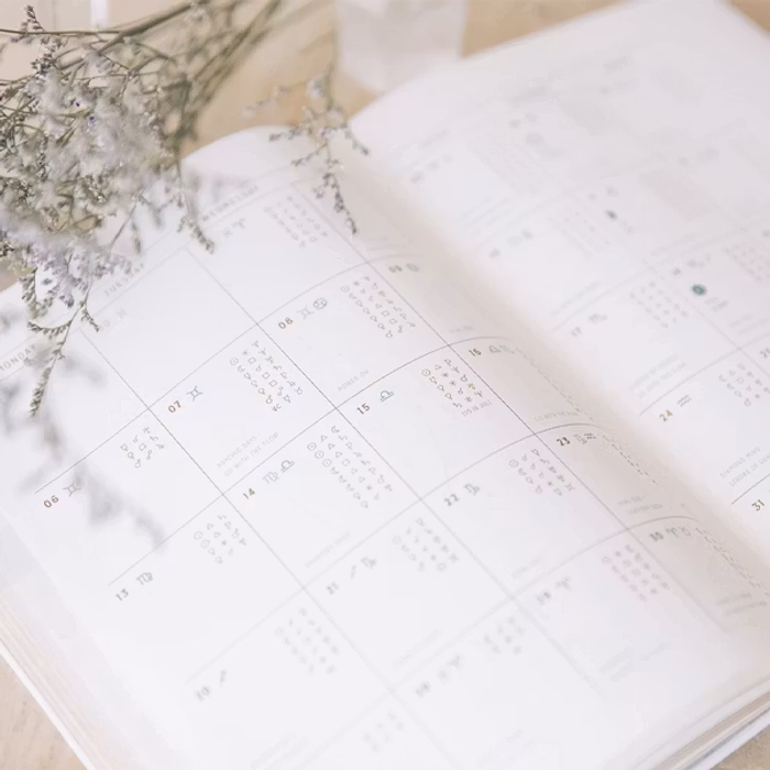 Kalender 2021 Astrological Planner White - Magic of I