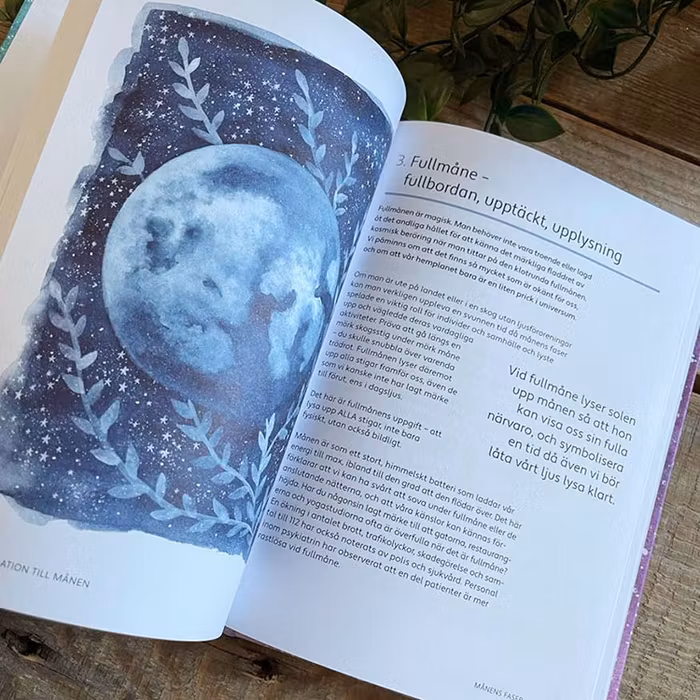 Bok "Månkraft" - Merilyn Keskula
