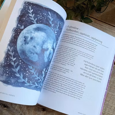 Bok "Månkraft" - Merilyn Keskula Bok "Månkraft" - Merilyn Keskula