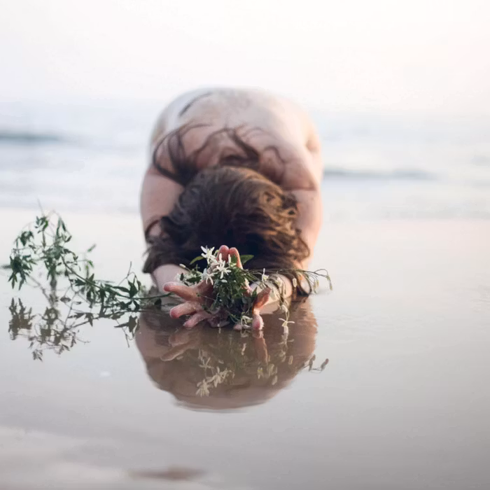 Bok "Graceful Living" - Agneta Nyholm Winqvist
