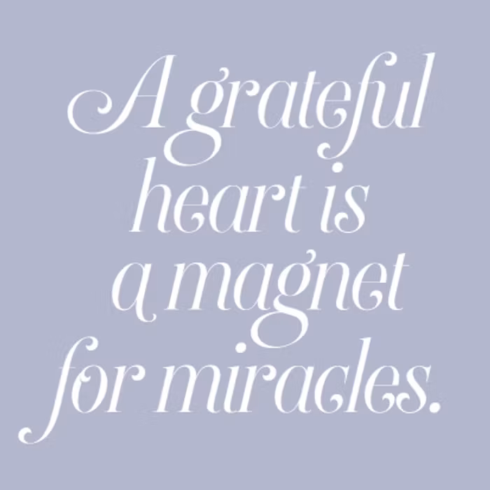 Dagbok A Magnet For Miracles - Sporrong böcker