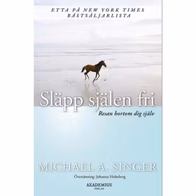 Bok Släpp själen fri - Michel A. Singer