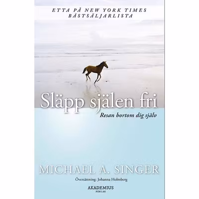 Bok Släpp själen fri - Michel A. Singer