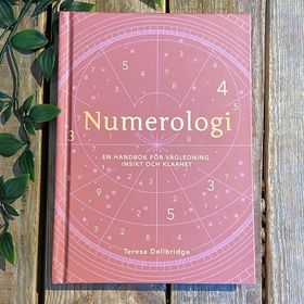 Bok Numerologi - Teresa Dellbridge