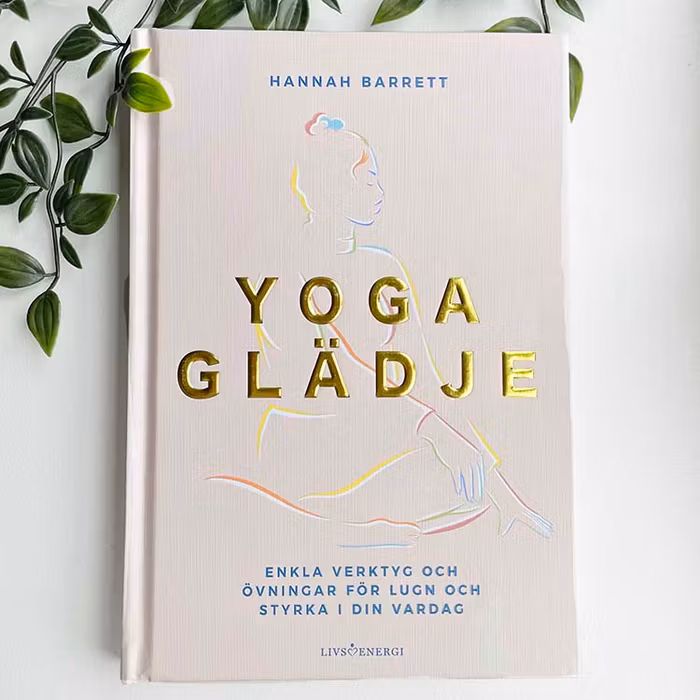 Yoga Nybörjar kit - Yogamatta, väska, yogablock & yogabok