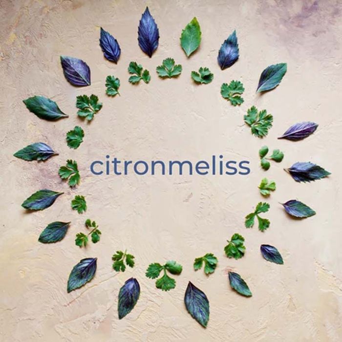 Tinktur Citronmeliss Miss Melissa - Örtfabriken