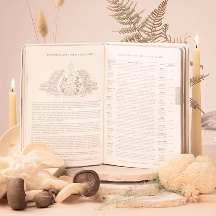 Kalender 2024 Astrological Planner White Leather A5 - Magic of I