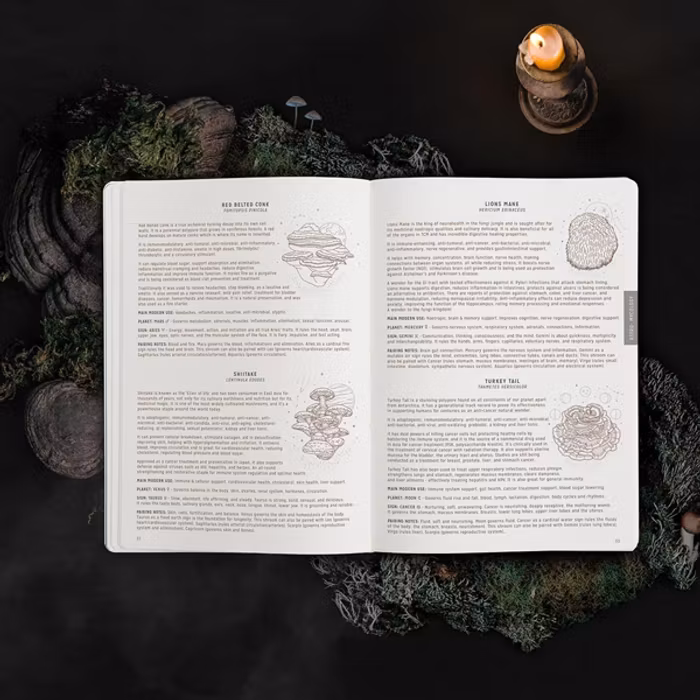 Kalender 2024 Astrological Planner White Leather A5 - Magic of I