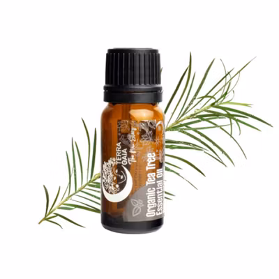 Eterisk olja Organic Tea Tree 10ml - Terra Gaia