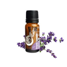 Eterisk olja Organic Lavender 10ml - Terra Gaia