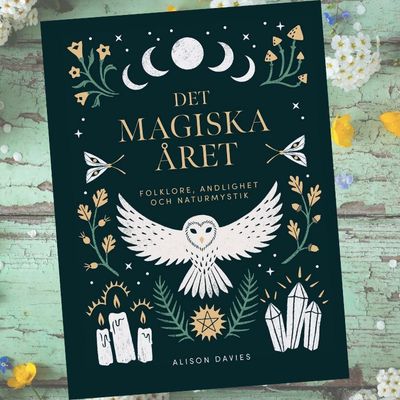 Bok Det Magiska Året