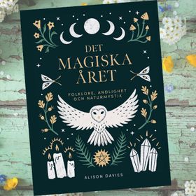 Bok Det Magiska Året