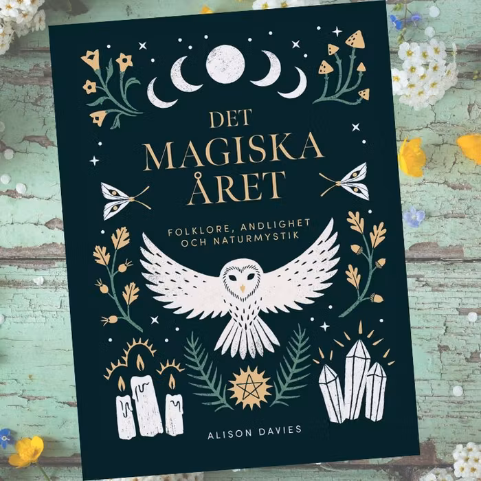 Bok Det Magiska Året