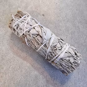 Salviabunt av blå och vit salvia Salviabunt av blå och vit salvia
