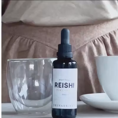 Reishi (svamp) tinktur - Örtfabriken