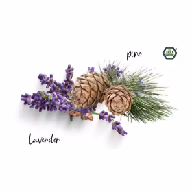 Yogaolja Roll-on Sweet Dreams 10 ml - Terra Gaia Yogaolja Roll-on Sweet Dreams 10 ml - Terra Gaia
