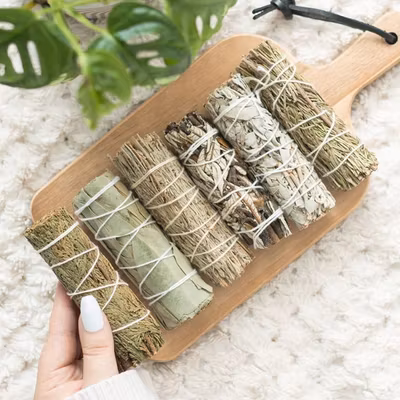 Salvia 6st - Sage Smudge Stick Variety Set